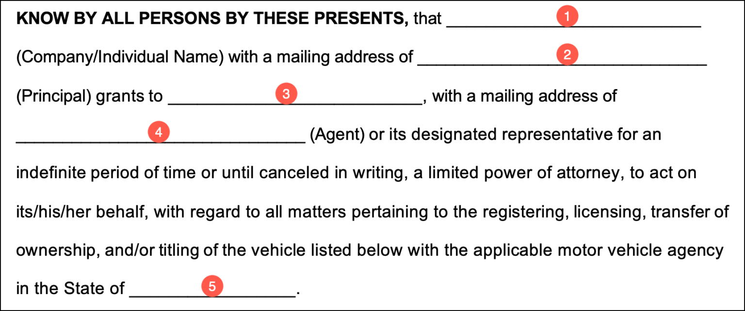Free Vehicle (DMV) Power of Attorney Forms PDF Word