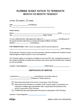 Document Preview