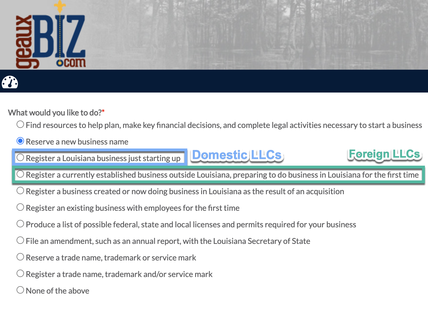 Free Louisiana LLC Operating Agreement Template PDF Word