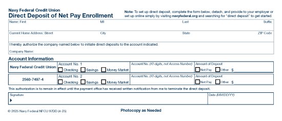 Document Preview
