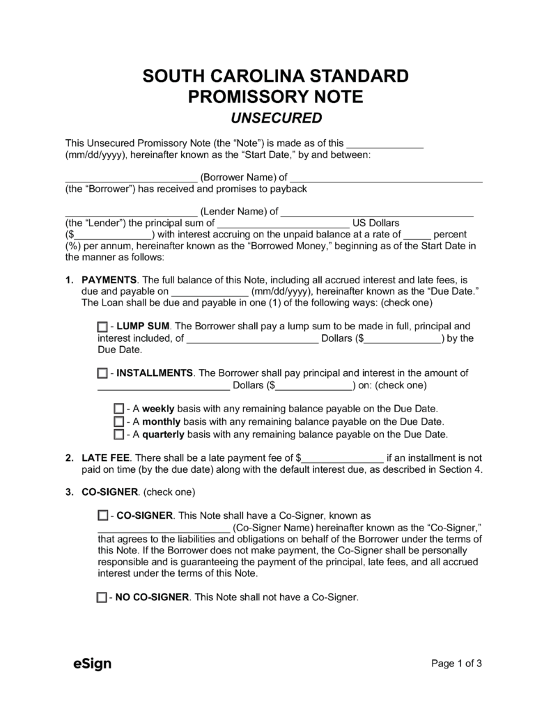 Promissory Note Template South Carolina